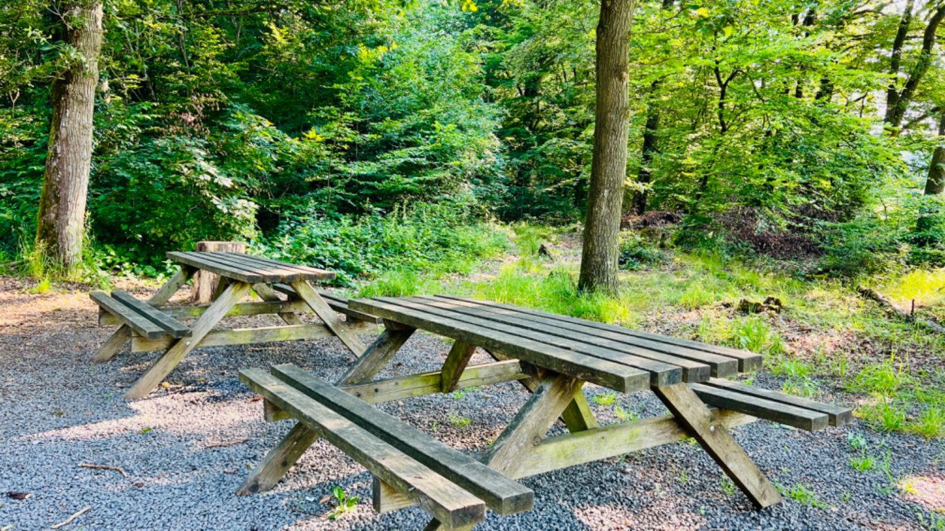 Grillhütte Bergweiler Grillhütte Bergweiler