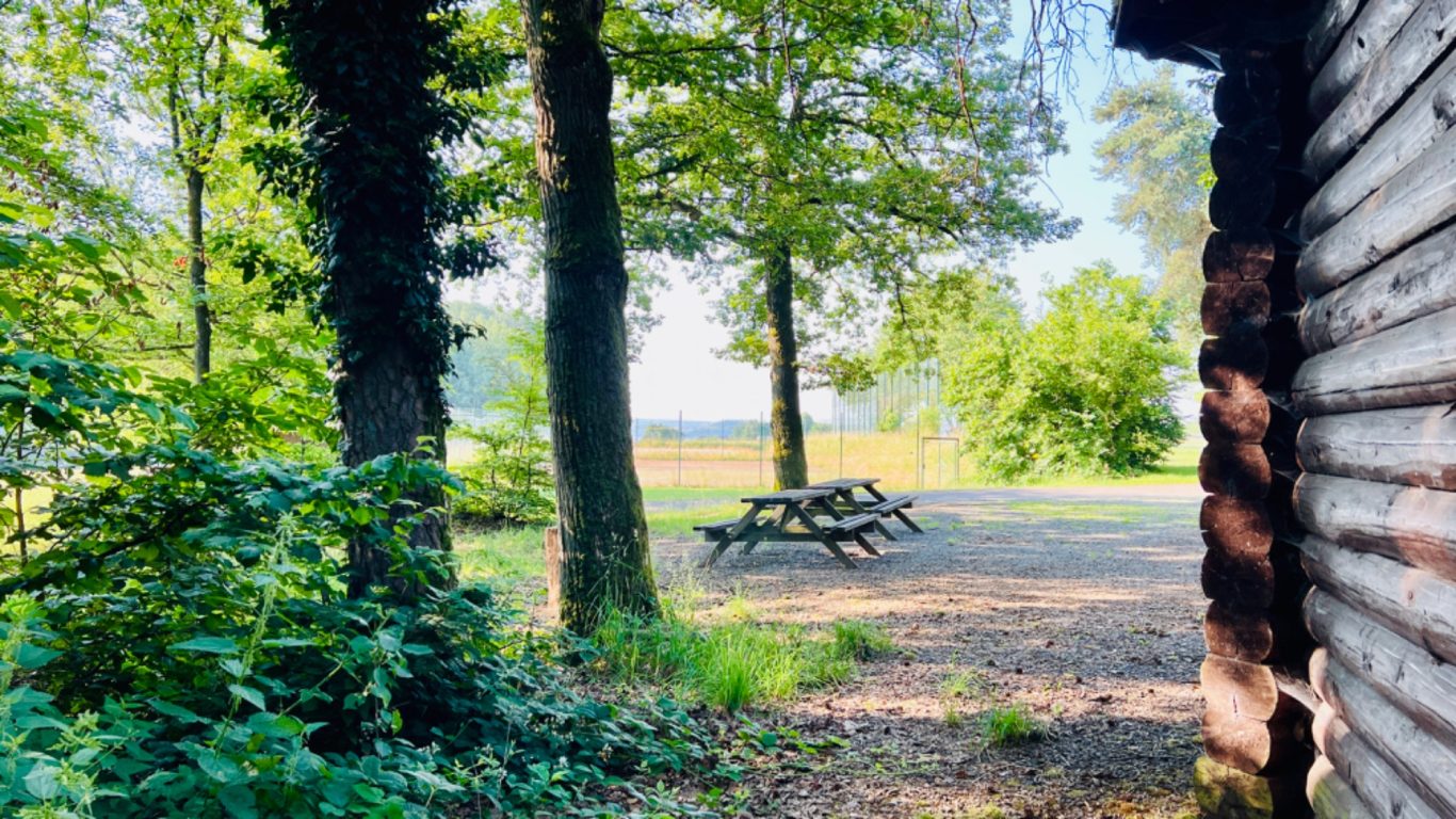 Grillhütte Bergweiler Grillhütte Bergweiler