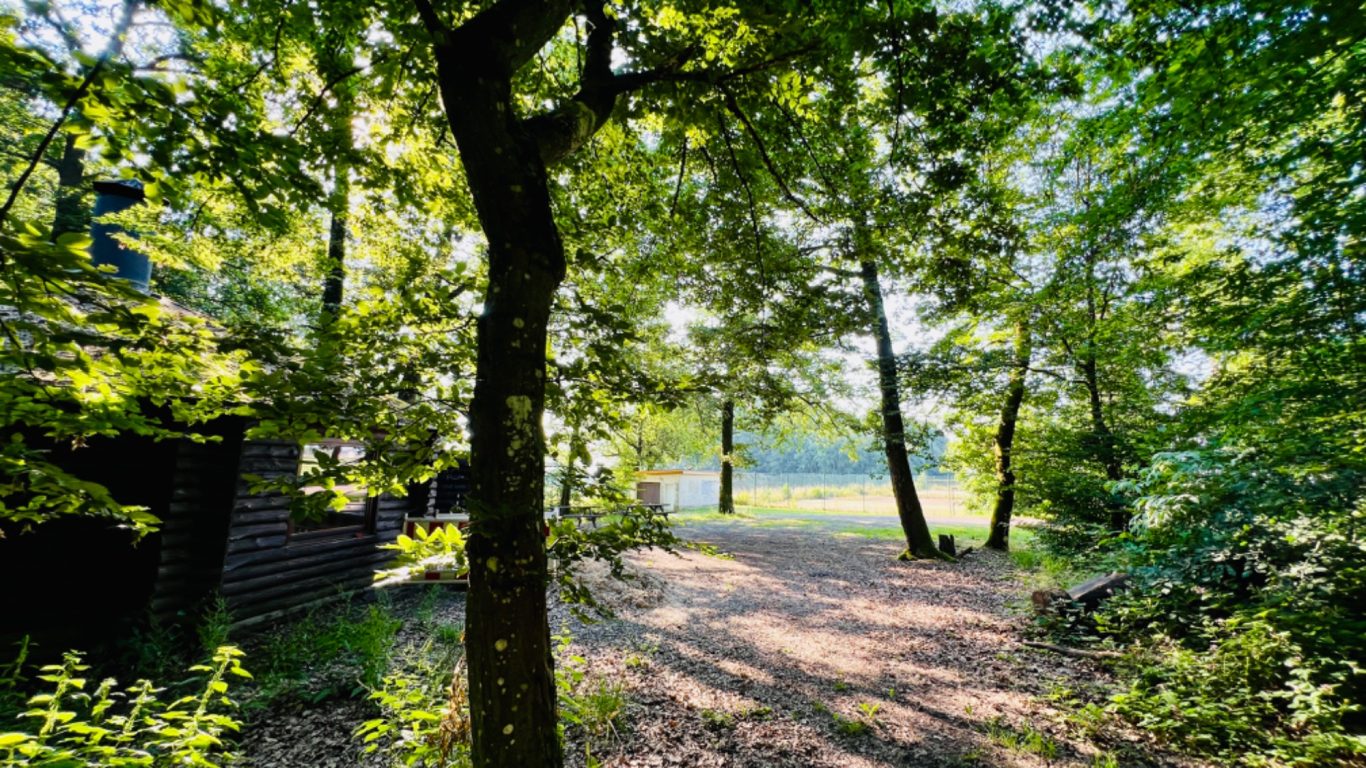 Grillhütte Bergweiler Grillhütte Bergweiler