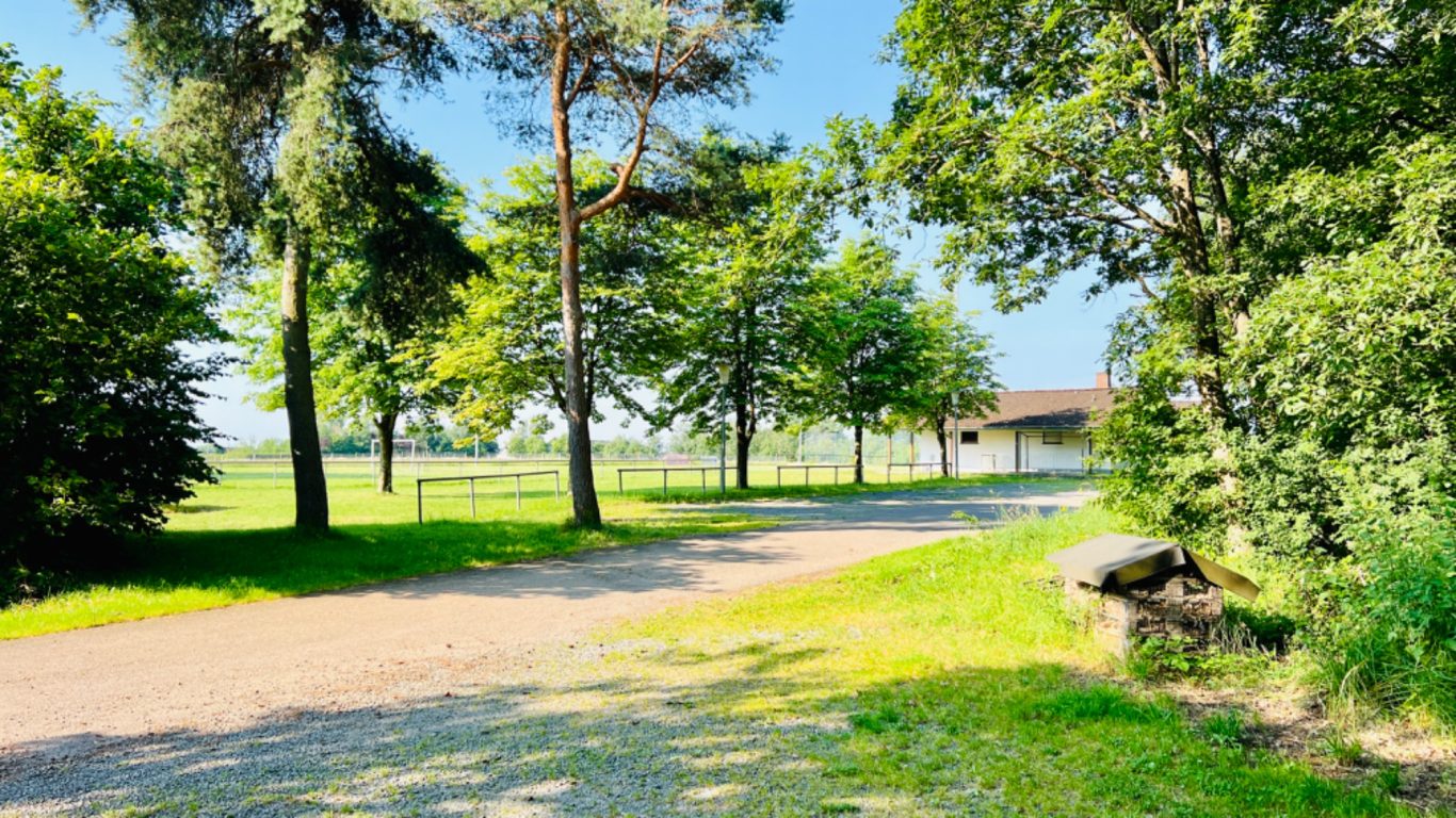 Grillhütte Bergweiler Grillhütte Bergweiler