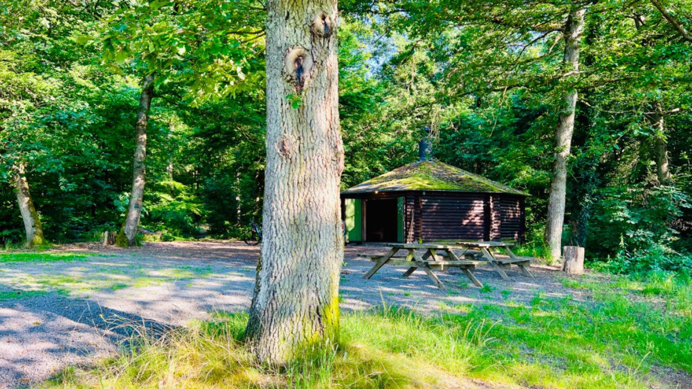 Grillhütte Bergweiler Grillhütte Bergweiler